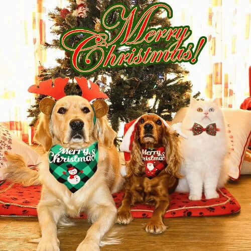 Dog Christmas Plaid Bandanas - Petopia | Products for dogs