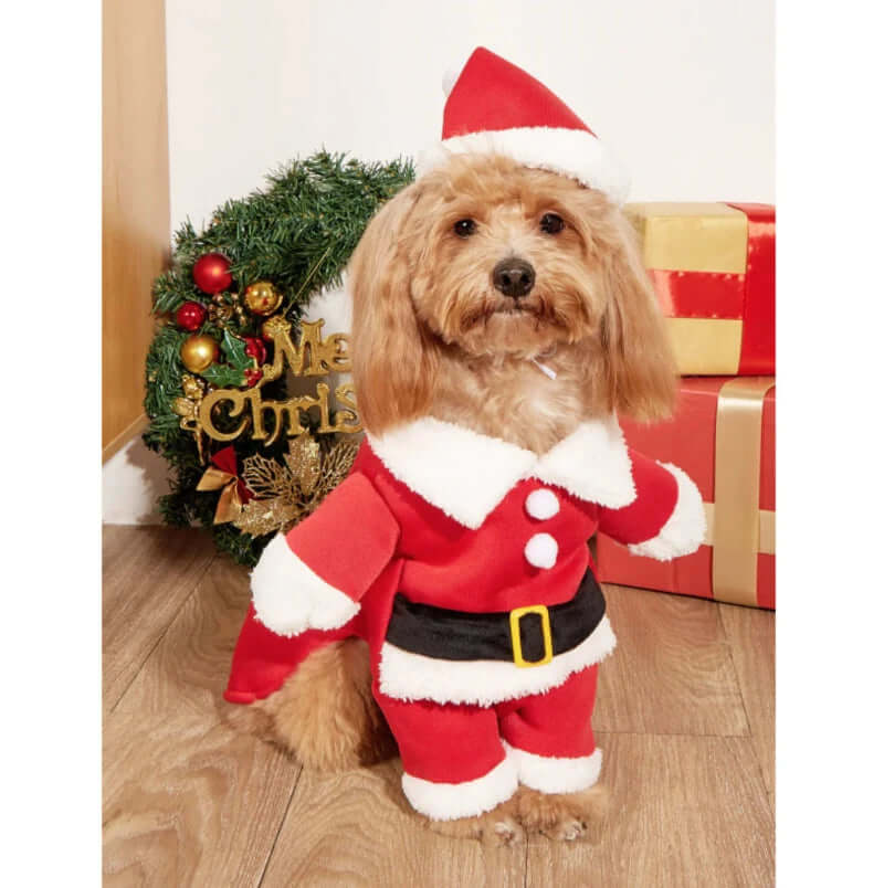 Festive Christmas Pet Costume for Small Dogs - Petopia | Products for dogs