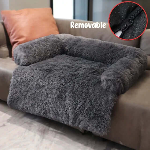 Sofa Cover for Dogs - Petopia | Products for dogs