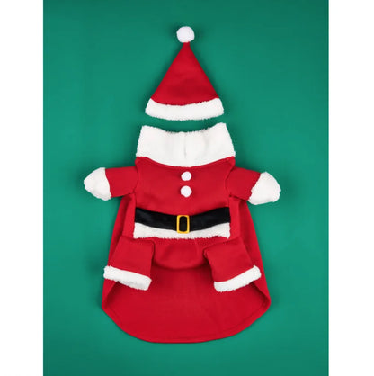 Festive Christmas Pet Costume for Small Dogs - Petopia | Products for dogs