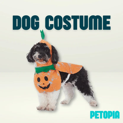 Halloween Dog Costumes - Orange Pumpkin - Petopia | Products for dogs