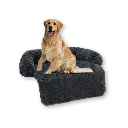 Sofa Cover for Dogs - Petopia | Products for dogs