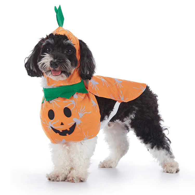 Halloween Dog Costumes - Orange Pumpkin - Petopia | Products for dogs